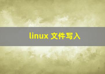 linux 文件写入